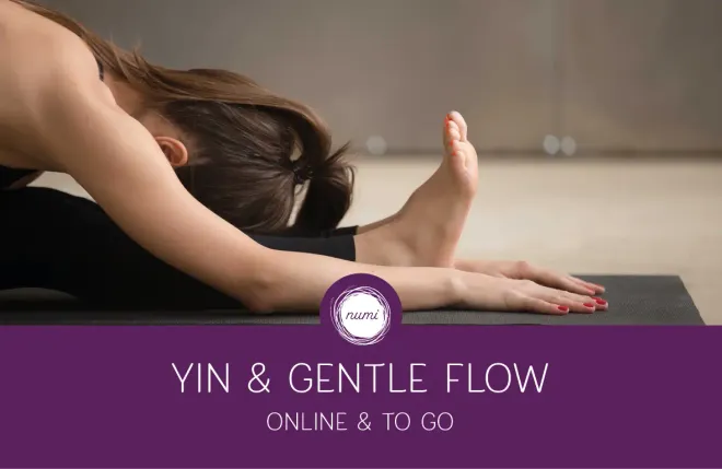 »Yin & Gentle Flow« | ONLINE