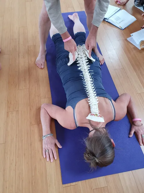 Workshop- Ayur Yogatherapie & Faszien-Release bei Beschwerden im unteren Rücken 