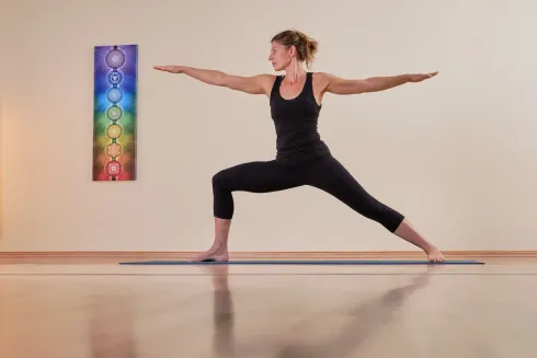 Yoga für Anfänger - online