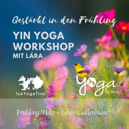 Yin Yoga Jahreszeiten-Workshop "Frühling"