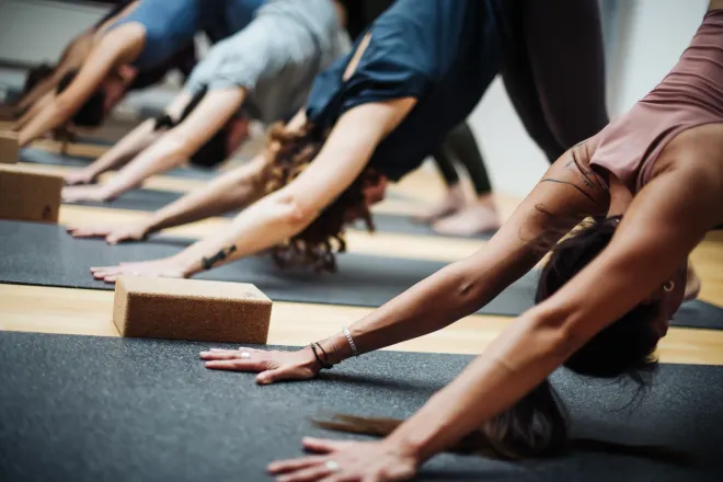 Yoga Basics |  LEVEL 1 | Studio Ottensen