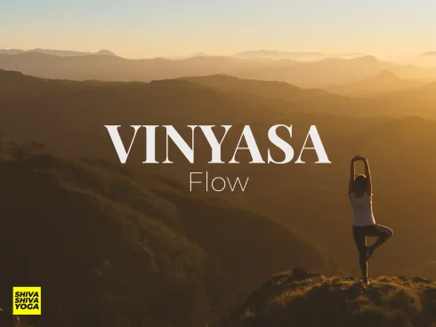 Vinyasa Flow 60 – Medium