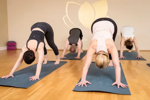 Yoga für Kraft & Beweglichkeit (Präsenz)