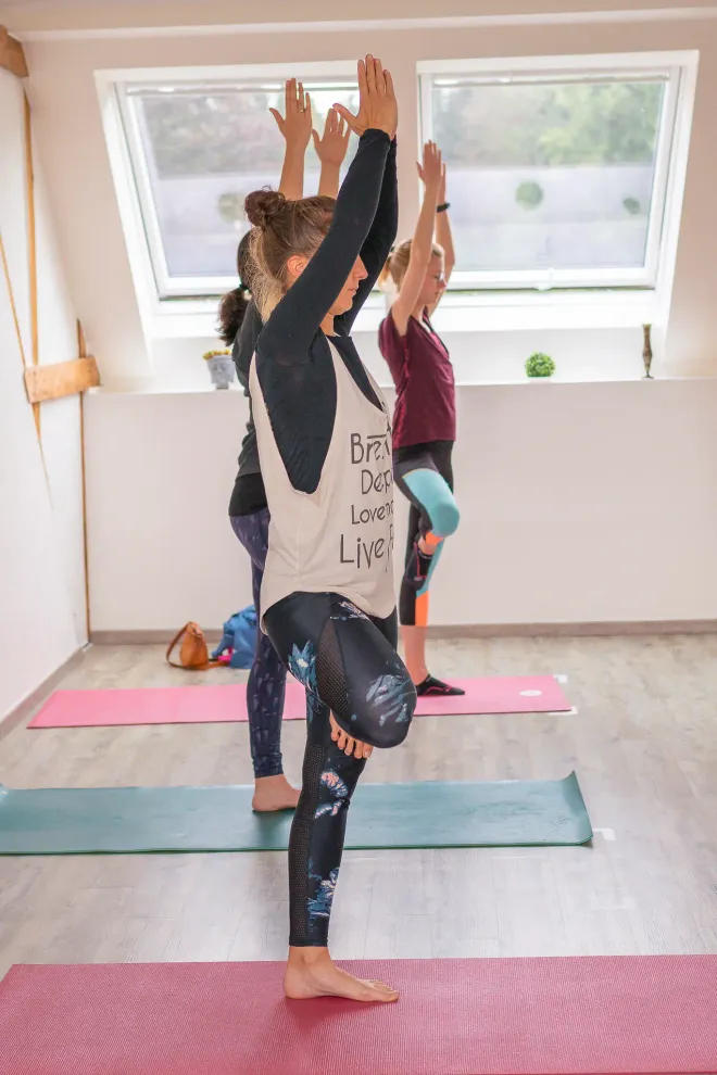 Live-online Yoga-Vidya Mittelstufe