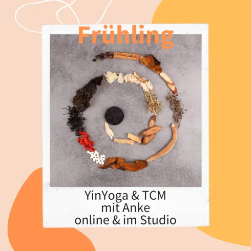YinYoga & TCM  Sommer ( hybride Klasse/ im Studio)