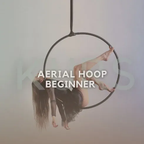 Aerial Hoop Choreo | Beginner