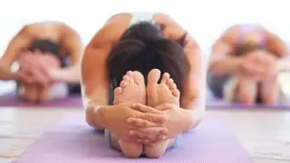 Vinyasa Yoga 