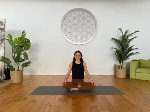 Live: Hatha Flow Yoga - fließend in die Kraft kommen