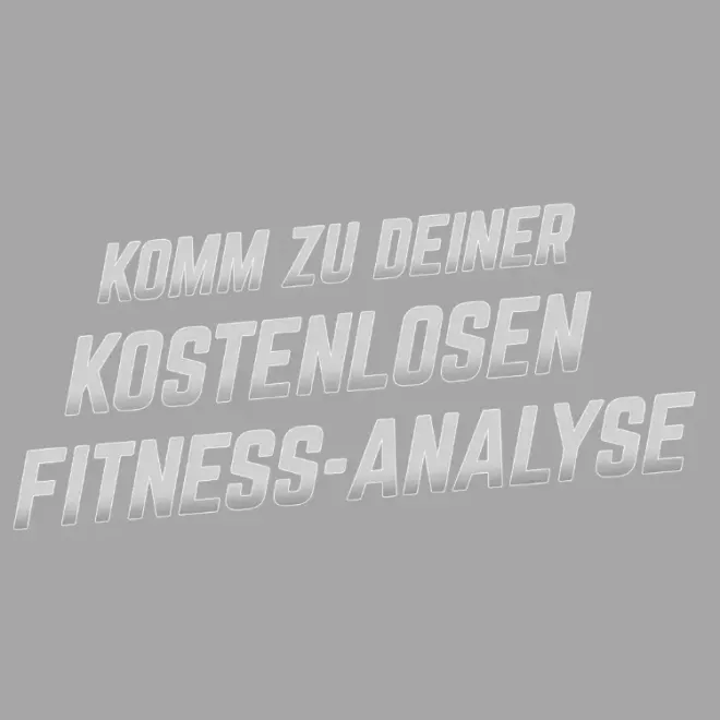 Fitness-Analyse