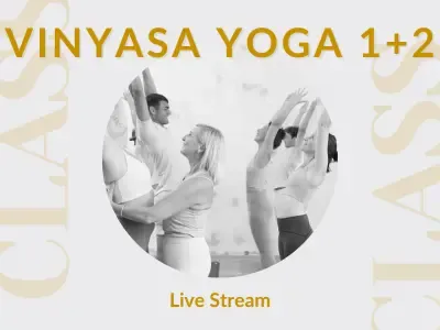 LIVE STREAM Vinyasa Yoga 1 + 2