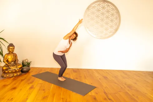 Online: Mandala Flow Yoga - fließend in die Kraft kommen