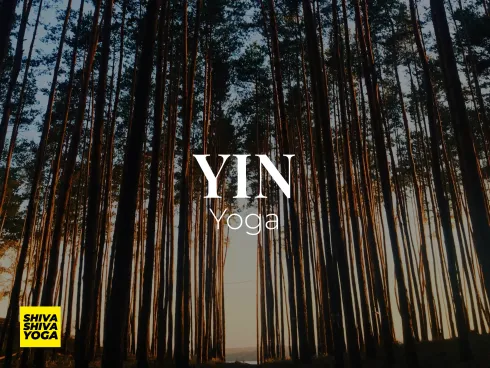 Yin Yoga (English) 60 – Medium