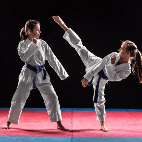 Taekwondo Defense (ab ca. 7 J.)