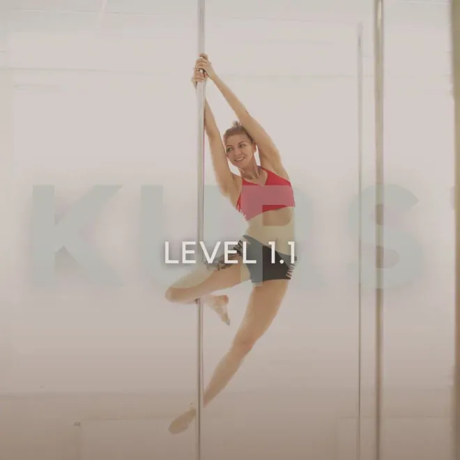 Pole Dance Level 1.1 | Beginner (T)